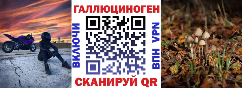 Купить  Старая Русса  Псилоцибиновые грибы мухоморы 
